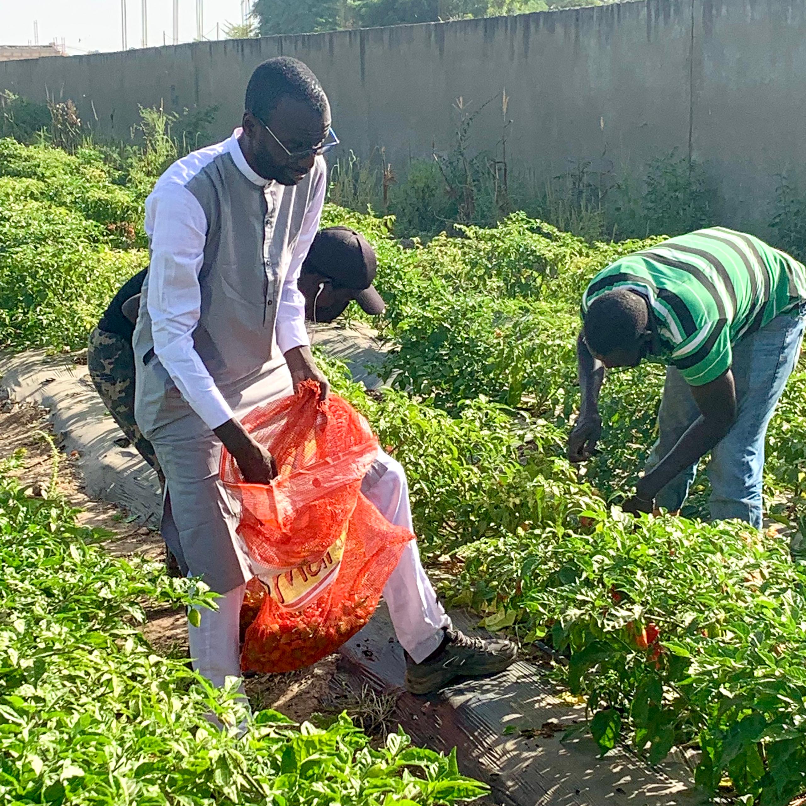 2079d787-24e0-4650-a21e-dda4a7d8bea1 2079d787-24e0-4650-a21e-dda4a7d8bea1