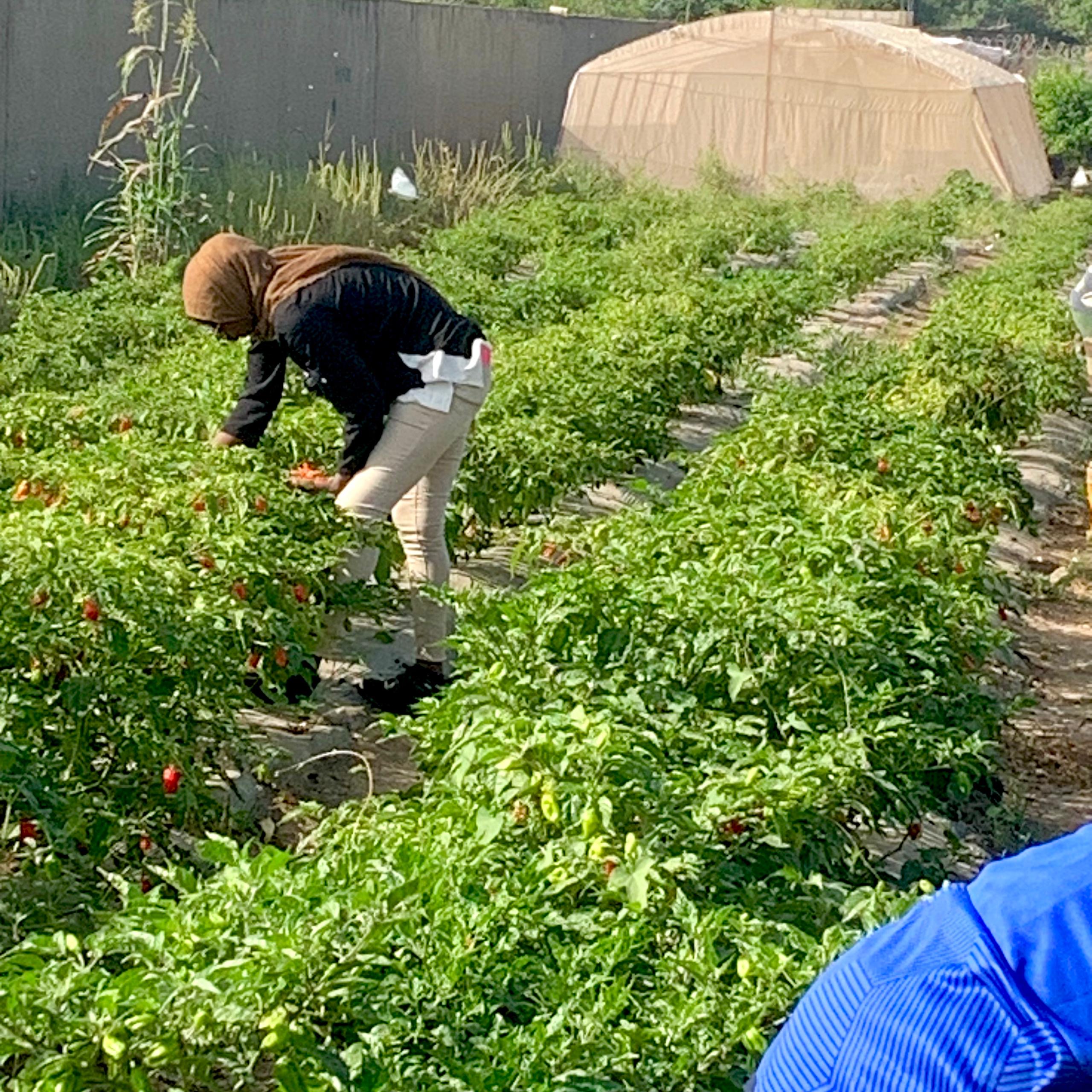 4255c8fe-5a27-4673-816d-594265f7b1e0 4255c8fe-5a27-4673-816d-594265f7b1e0