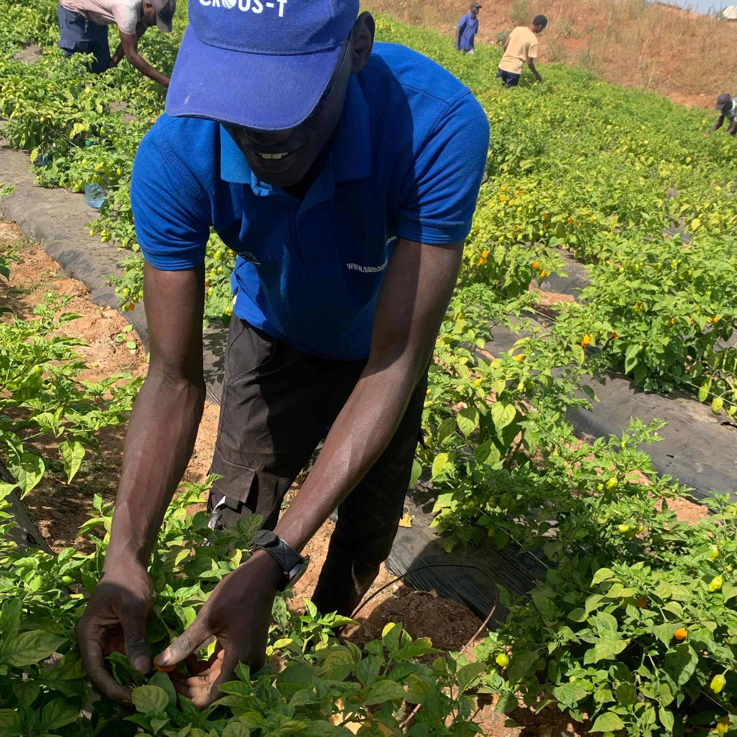 7d39bc73-2d0d-467b-afa6-91a89ad8d7a6 7d39bc73-2d0d-467b-afa6-91a89ad8d7a6