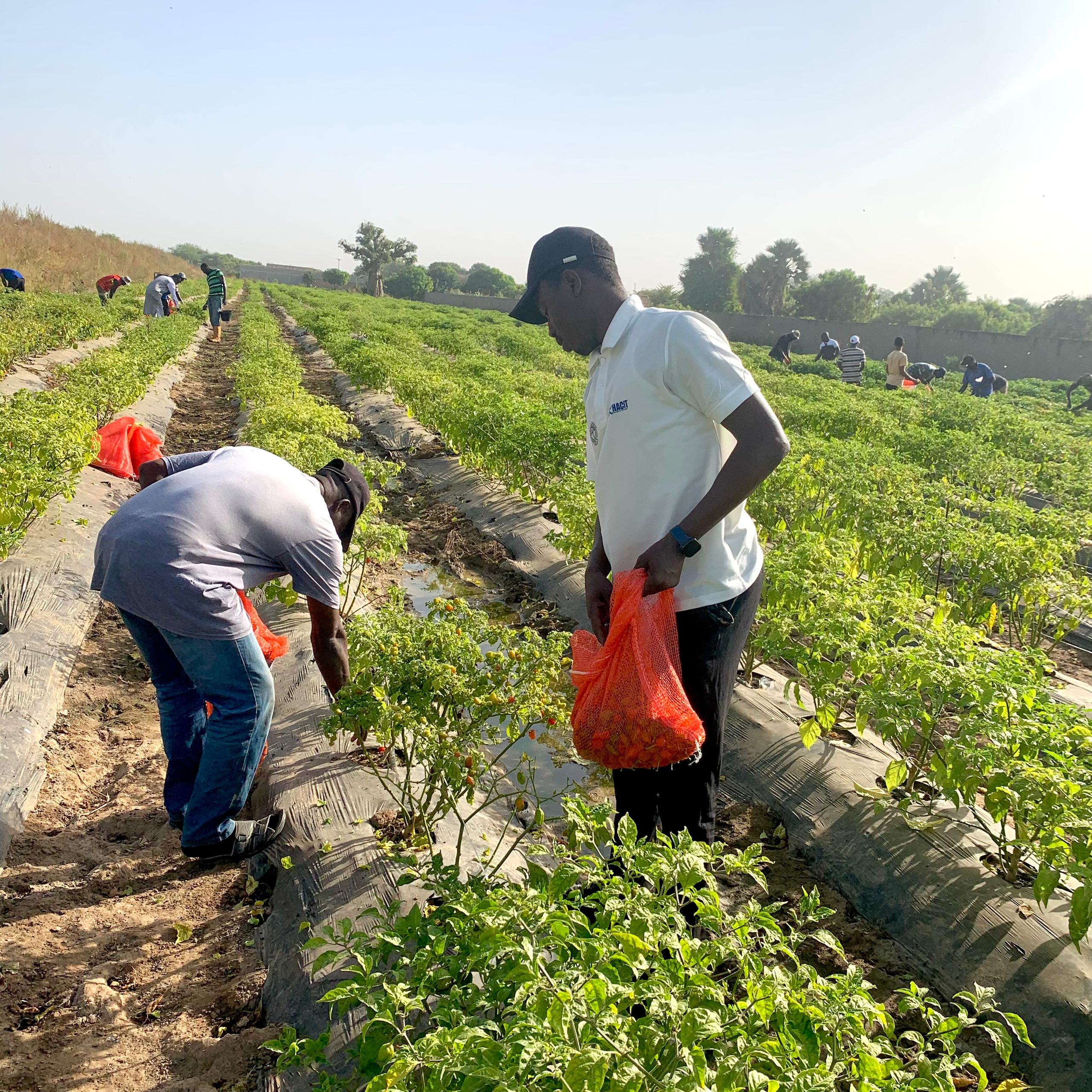 848b37f5-2083-4f1d-a12d-df73ac5d1797 848b37f5-2083-4f1d-a12d-df73ac5d1797