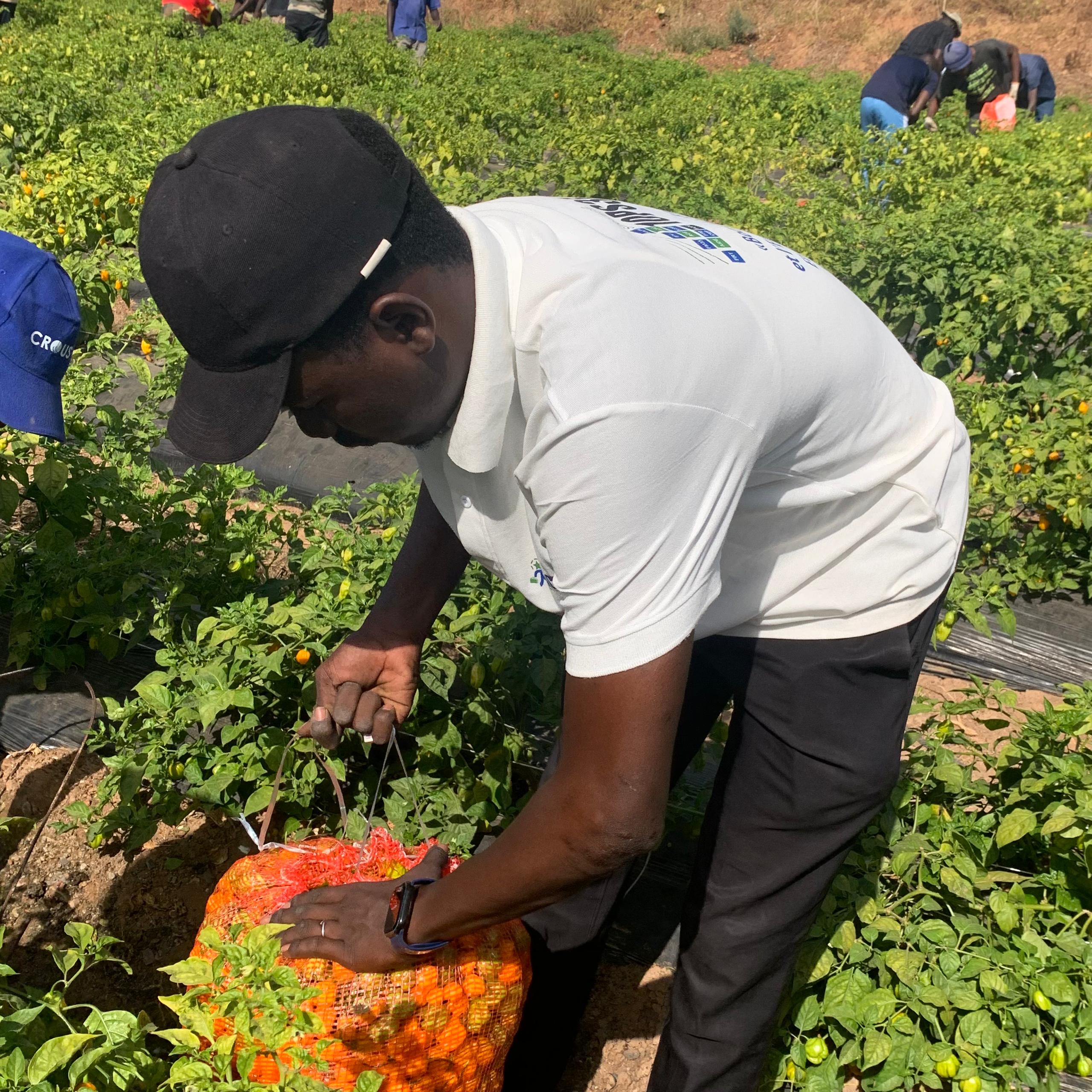 ee464c4c-18bb-4991-8451-ba71ecb867c8 ee464c4c-18bb-4991-8451-ba71ecb867c8